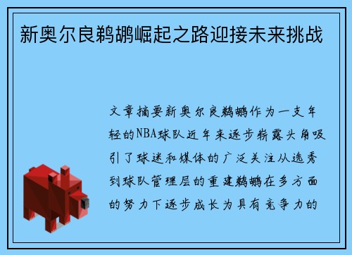 新奥尔良鹈鹕崛起之路迎接未来挑战