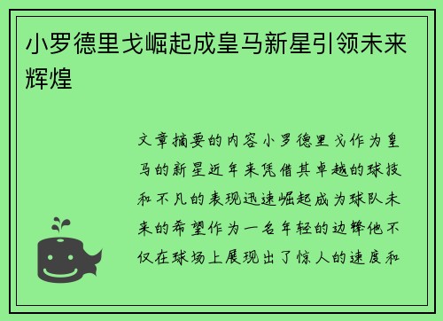 小罗德里戈崛起成皇马新星引领未来辉煌